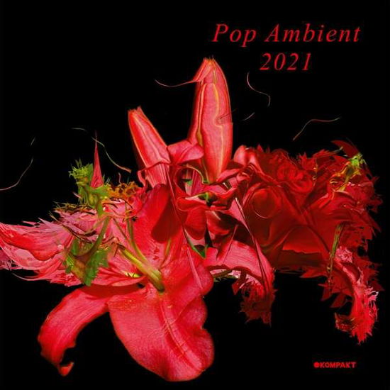 Cover for Pop Ambient 2021 / Various (CD) (2020)