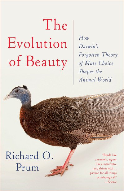Cover for Richard O. Prum · Evolution of Beauty: How Darwin's Forgotten Theory of Mate Choice Shapes the Animal World - and Us (Pocketbok) (2018)