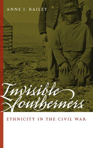 Cover for Anne J. Bailey · Invisible Southerners: Ethnicity in the Civil War - Georgia Southern University Jack N. and Addie D. Averitt Lecture Series (Hardcover Book) (2006)