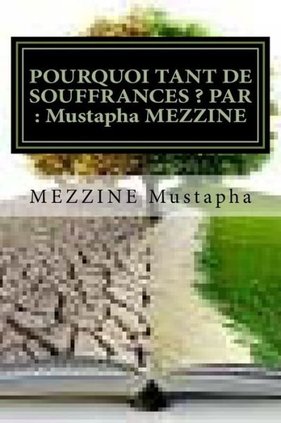 Cover for Mezzine Mustapha · Pourquoi Tant De Souffrances ? Par: Mustapha Mezzine: Tout Ce Que Je Peux Faire S'apprend (Pocketbok) (2014)