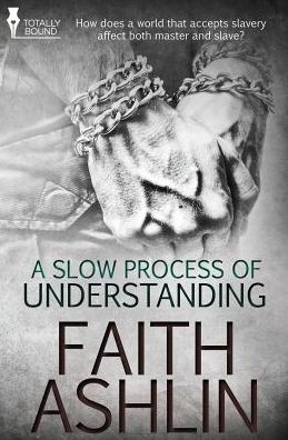 Cover for Faith Ashlin · A Slow Process of Understanding (Paperback Bog) (2014)