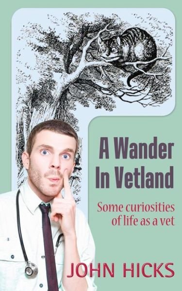 Cover for John Hicks · A Wander in Vetland (Taschenbuch) (2015)