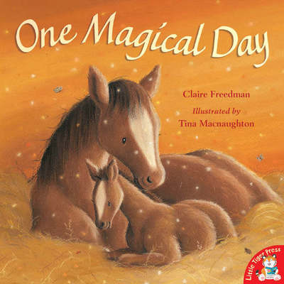 One Magical Day - Claire Freedman - Książki - Little Tiger Press Group - 9781845064570 - 5 marca 2007