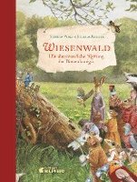 Cover for Stephan Wolf · Wiesenwald (Hardcover Book) (2021)