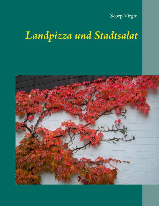 Cover for Virgin · Landpizza und Stadtsalat (Book)