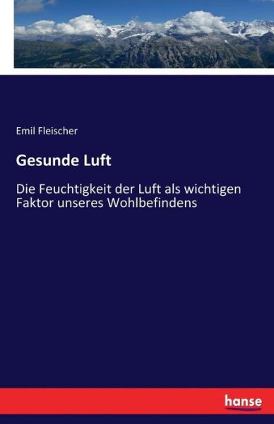 Cover for Fleischer · Gesunde Luft (Book) (2017)
