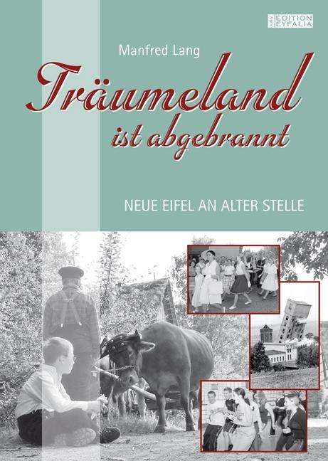 Cover for Manfred · Träumeland ist abgebrannt (Book)