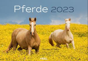 Cover for Heel Verlag GmbH · Pferde 2023 (Calendar) (2022)