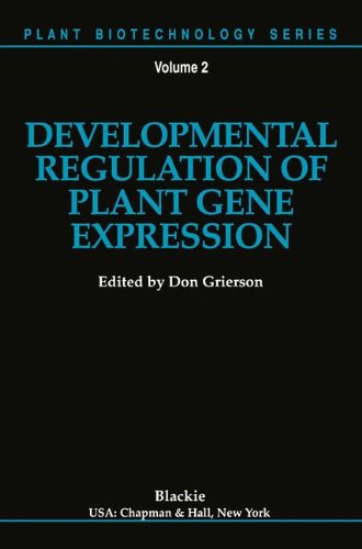 Don Grierson · Developmental Regulation of Plant Gene Expression - Plant Biotechnology Series (Taschenbuch) [Softcover reprint of the original 1st ed. 1991 edition] (2014)