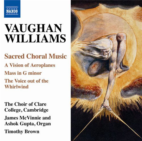 Choral Music - Vaughan Williams - Muziek - NAXOS - 0747313246571 - 25 januari 2010