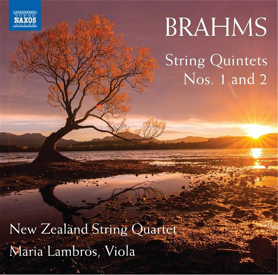Johannes Brahms: String Quintets Nos. 1 And 2 - Nz String Quartet / Lambros - Música - NAXOS - 0747313345571 - 8 de febrero de 2019
