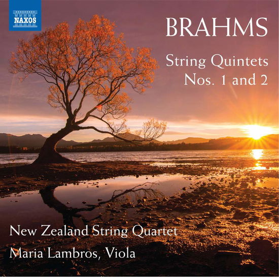 Johannes Brahms: String Quintets Nos. 1 And 2 - Nz String Quartet / Lambros - Music - NAXOS - 0747313345571 - February 8, 2019