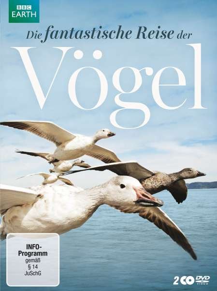 Cover for Die Fantastische Reise Der Vögel (DVD) (2013)