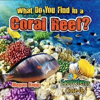 Cover for Megan Kopp · What do you find in a coral reef? (Book) (2016)