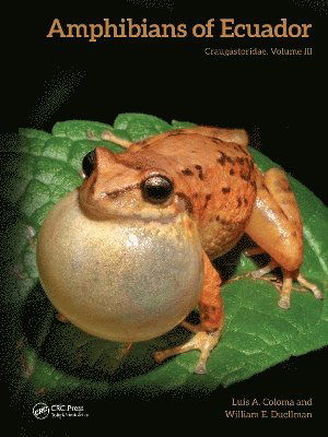 Cover for Luis A. Coloma · Amphibians of Ecuador: Craugastoridae (Hardcover Book) (2025)