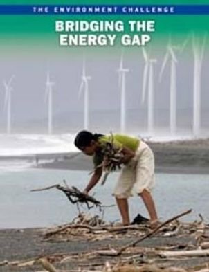 Bridging the Energy Gap - Raintree Freestyle: The Environment Challenge - Andrew Langley - Books - Capstone Global Library Ltd - 9781406228571 - June 8, 2011