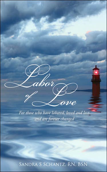 Cover for Sandi Schantz · Labor of Love: for Those Who Have Labored, Loved, and Lost; and Are Forever Changed. (Paperback Book) (2007)