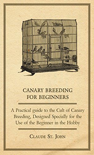 Cover for Claude St John · Canary Breeding for Beginners - a Practical Guide to the Cult of Canary Breeding, Designed Specially for the Use of the Beginner in the Hobby. (Inbunden Bok) (2008)