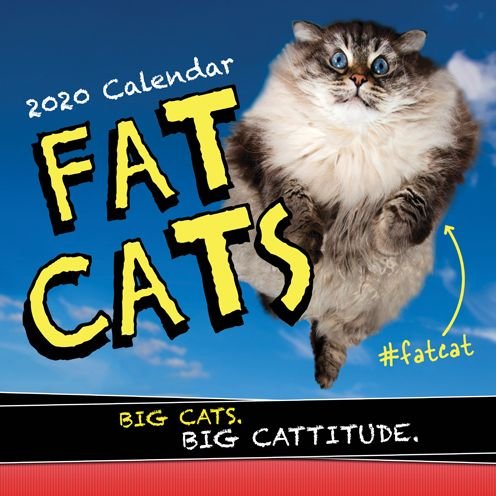 Cover for Sourcebooks · 2020 Fat Cats Wall Calendar (Kalender) (2019)