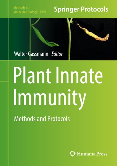 Plant Innate Immunity: Methods and Protocols - Methods in Molecular Biology - - Books - Humana Press Inc. - 9781493994571 - April 30, 2019