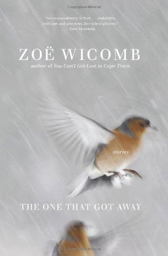 Cover for Zoe Wicomb · The One That Got Away: Short Stories (Gebundenes Buch) (2009)