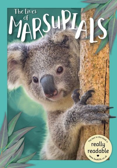 Cover for Madeline Tyler · The Lives of Marsupials - BookLife Accessible Readers (Taschenbuch) (2022)
