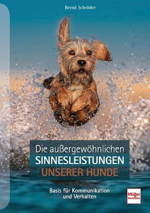 Cover for Bernd Schröder · Die außergewöhnlichen Sinnesleistungen unserer Hunde (Book) (2022)