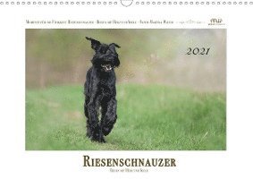 Riesenschnauzer - Riesen mit Herz - Wrede - Książki -  - 9783671949571 - 