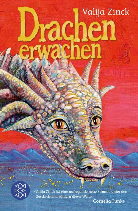 Cover for Zinck · Drachenerwachen (Book)