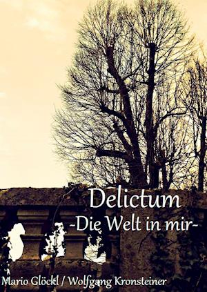 Cover for Glöckl · Delictum (Book)