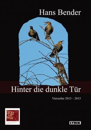 Cover for Bender · Hinter die dunkle Tür (Book)