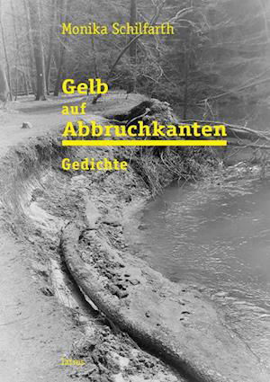 Gelb auf Abbruchkanten - Monika Schilfarth - Boeken - IATROS - 9783869630571 - 1 augustus 2022