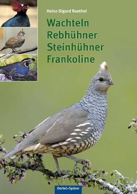 Cover for Raethel · Wachteln, Rebhühner, Frankol.NA (Book)