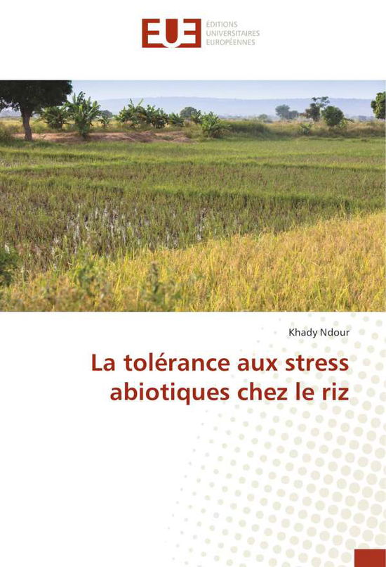 Cover for Ndour · La tolérance aux stress abiotique (Book)