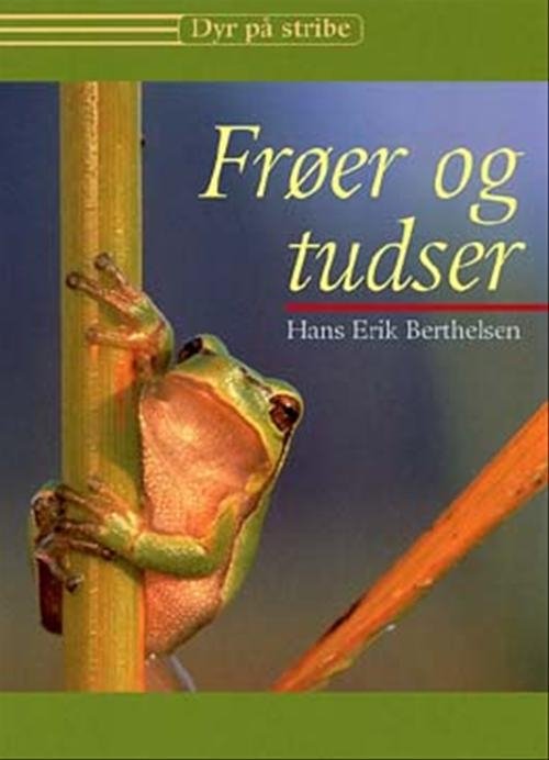 Cover for Hans Erik Berthelsen · Dyr på stribe: Frøer og tudser (Sewn Spine Book) [1.º edición] (2003)
