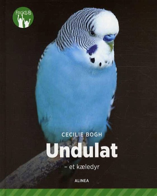 Cover for Cecilie Bogh · Fagklub: Undulat - et kæledyr, Grøn Fagklub (Gebundesens Buch) [1. Ausgabe] (2016)
