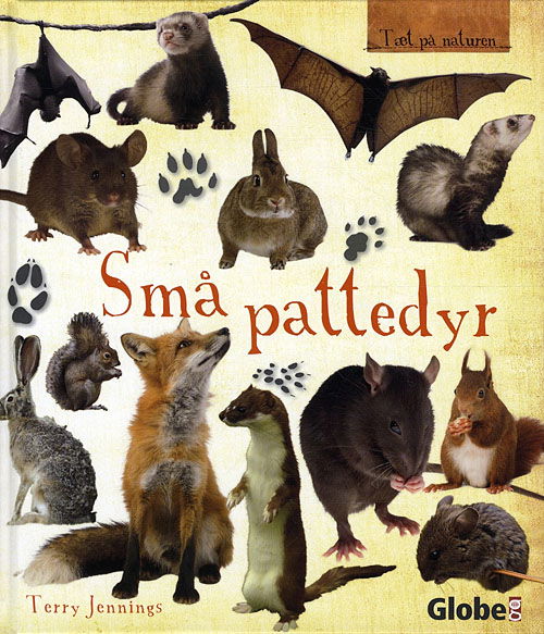 Cover for Terry Jennings · Tæt på naturen: Små pattedyr (Bound Book) [1st edition] [Indbundet] (2010)