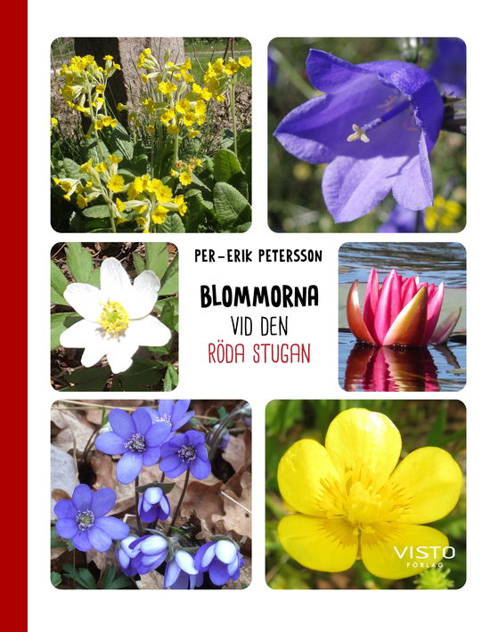 Blommorna vid den röda stugan - Per-Erik Petersson - Books - Visto Förlag - 9789180733571 - March 18, 2024