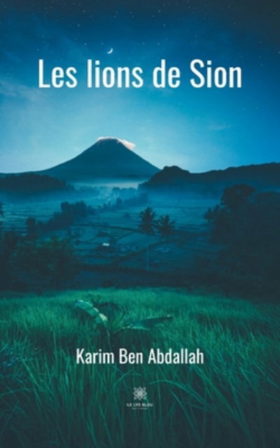 Cover for Karim Ben Abdallah · Les lions de Sion (Paperback Book) (2020)