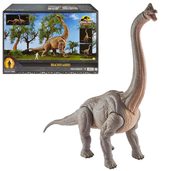 Cover for Jurassic World · Jurassic World Hammond Collection Brachiosaurus (MERCH) (2023)