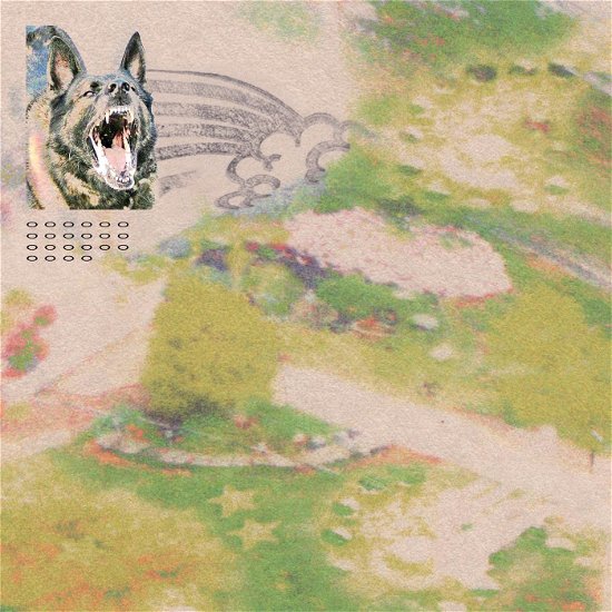 Cover for Feeble Little Horse · Girl with Fish (Sprinkle Splatter Vinyl Lp) (VINIL) (2024)