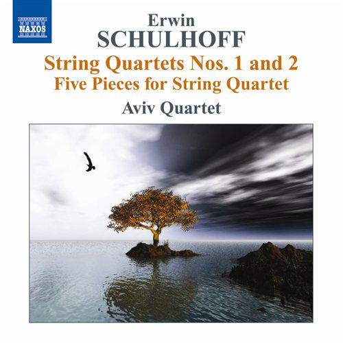 String Quartets - E. Schulhoff - Musik - NAXOS - 0747313096572 - 12 april 2010