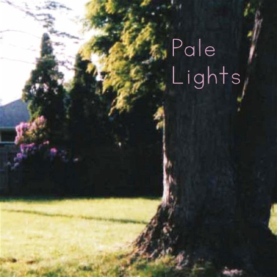 Cover for Pale Lights · You And I (7&quot;) (2020)