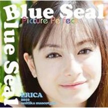 Cover for Picture Perfect · Blue Seal (CD) [Japan Import edition] (2010)