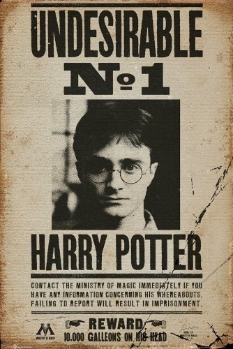 Cover for Poster - Maxi · Harry Potter: Undesirable No 1 (Poster Maxi 61x91,5 Cm) (MERCH) (2016)