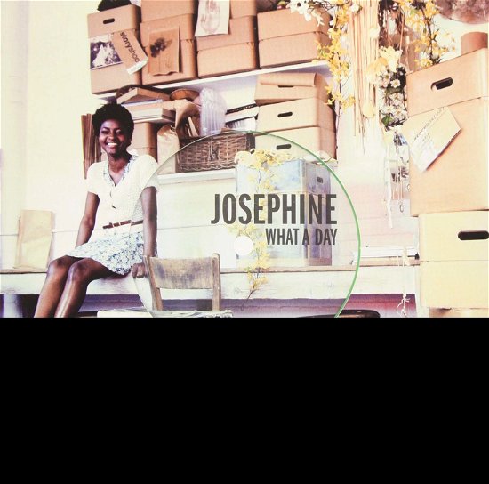 Cover for Josephine · What A Day (LP) [Limited edition] (2012)
