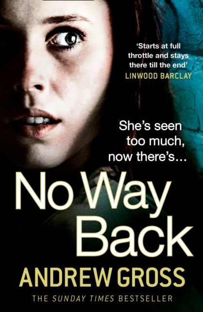 Cover for Andrew Gross · No Way Back (Paperback Book) (2013)