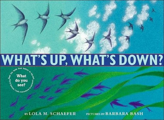 Cover for Lola M. Schaefer · What's Up, What's Down? (Inbunden Bok) (2002)