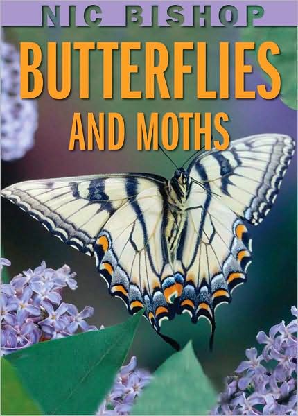 Cover for Nic Bishop · Nic Bishop: Butterflies and Moths (Hardcover Book) (2009)