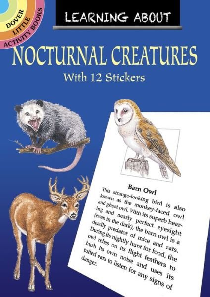 Cover for Sy Barlowe · Learning About Nocturnal Creatures - Little Activity Books (Pocketbok) (2020)